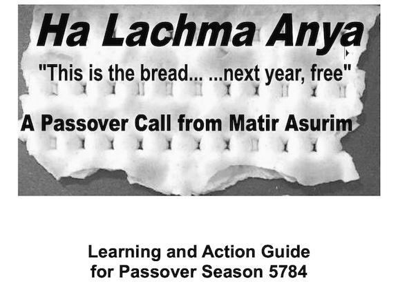cover of Ha Lachma Anya (This is the bread...next year, free") A Passover Call from Matir Asurim -- Learning and Action Guide fo Passover-Season 5784 incorporates broken matzah behind "Ha Lachma Anya." 